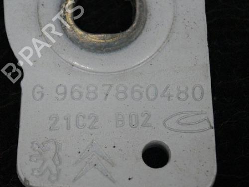 Hinge/Door check strap PEUGEOT 508 SW I (8E_) 1.6 HDi | BP14659859C146 