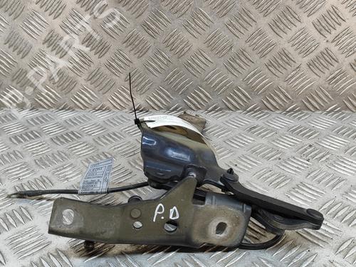 Hinge/Door check strap BMW X5 (E70) xDrive 30 d | BP16712151C146 