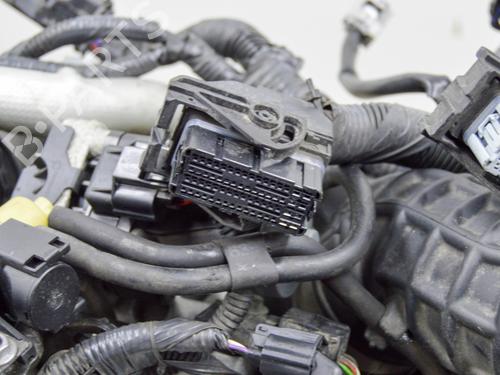 Engine NISSAN JUKE (F15) 1.5 dCi | BP13319652M1 