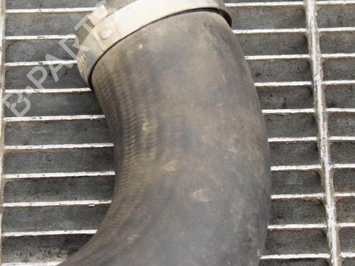 Pipe FORD TRANSIT V363 Platform/Chassis (FED, FFD) 2.0 EcoBlue | BP6764496M125 