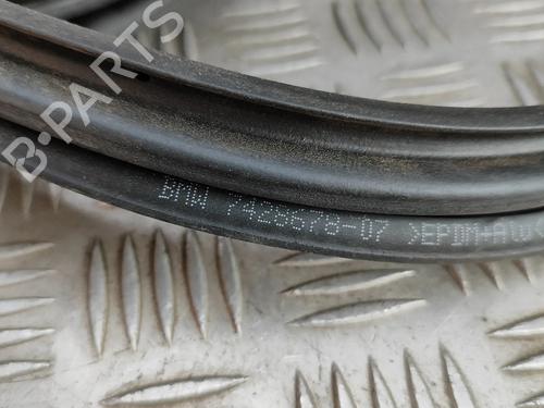 Gummiliste BMW X7 (G07) xDrive M 50 d | BP28562956C142 