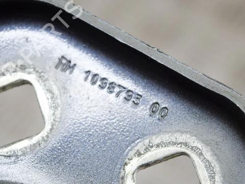 Hinge/Door check strap TESLA MODEL 3 (5YJ3) EV | BP27763222C146 