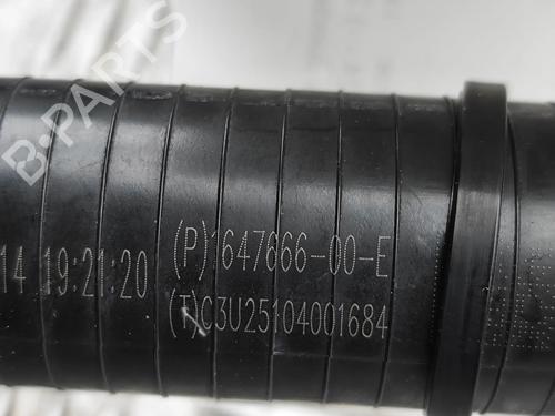 Pipe TESLA MODEL 3 (5YJ3) EV | BP33388498M125 - Image 6