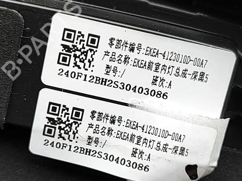 Luz interior BYD SEAL EV | BP38184422I8  - Image 5