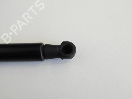 Tailgate lift support BMW 3 Coupe (E92) M3 | BP30241984C138