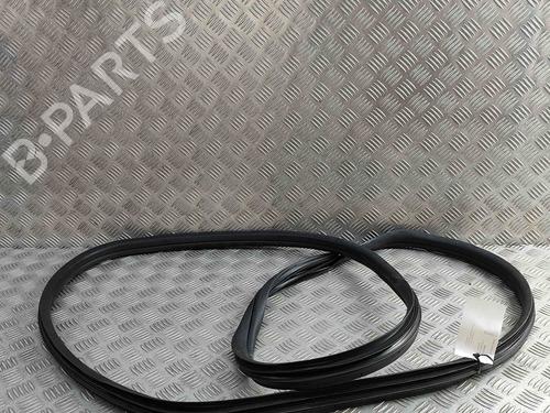 Rubber door seal FIAT 500 (312_) 1.0 Mild Hybrid (312.AYD1B) | BP29392316C142 