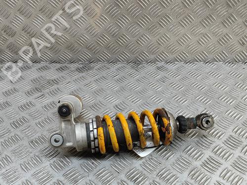 Other APRILIA MOTORCYCLES RSV RSV Mille R (RP) | BP29391798O1