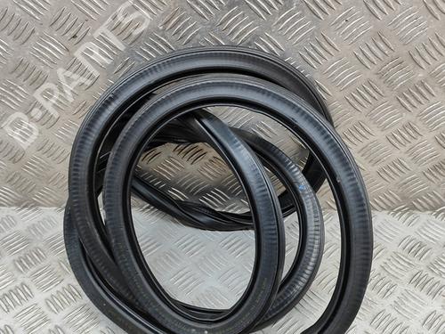 Rubber door seal AUDI Q5 (FYB, FYG) 2.0 TFSI quattro | BP16140530C142