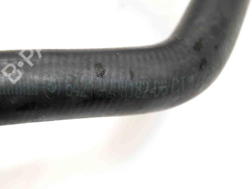 Pipe BMW 4 Convertible (F33, F83) 420 d | BP30256520M125
