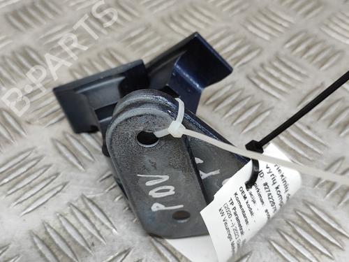 Hinge/Door check strap BMW X3 (G01, F97, G08) iX3 | BP28551251C146 