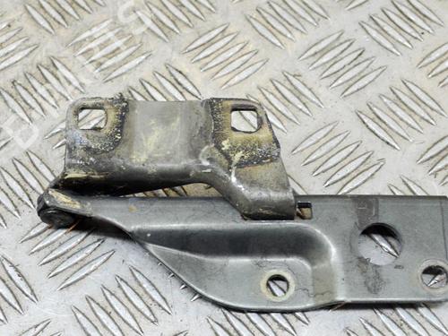 Hinge/Door check strap NISSAN PATHFINDER III (R51) 2.5 dCi | BP14629957C146 