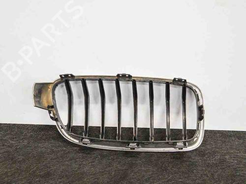 Grille BMW 3 (F30, F80) 320 d xDrive | BP14663856C40 