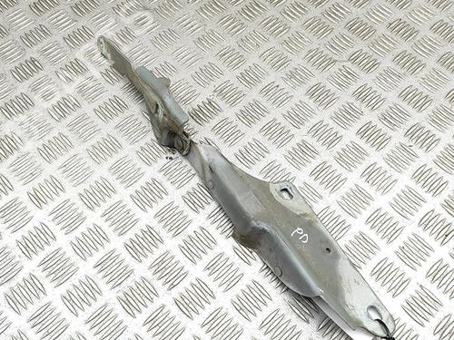 Hinge/Door check strap FORD USA CROWN VICTORIA 4.6 FlexFuel | BP29637783C146 