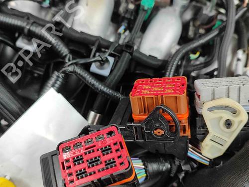 Engine LAND ROVER RANGE ROVER EVOQUE (L538) 2.2 D 4x4 | BP29753014M1