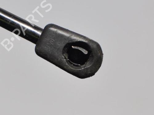 Tailgate lift support AUDI A1 (8X1, 8XK) 1.4 TFSI | BP14655894C138 