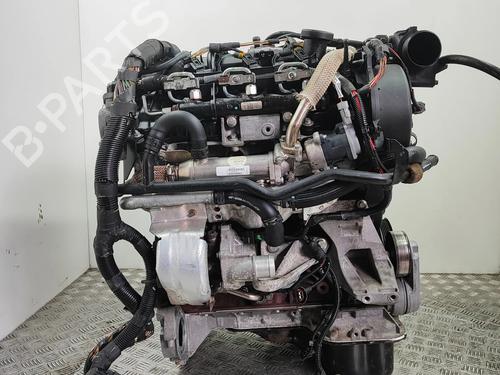 Engine JAGUAR XJ (X350, X358) D 2.7 | BP36983801M1 - Image 3