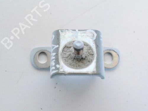 Hinge/Door check strap RENAULT MEGANE III Grandtour (KZ0/1) 1.5 dCi (KZ09, KZ0D, KZ1G, KZ29, KZ14, KZ1W, KZ10, KZ1F,... | BP30233059C146