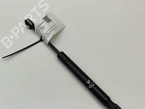Hood lift support LAND ROVER RANGE ROVER EVOQUE (L538) 2.2 D 4x4 | BP26167974C139 