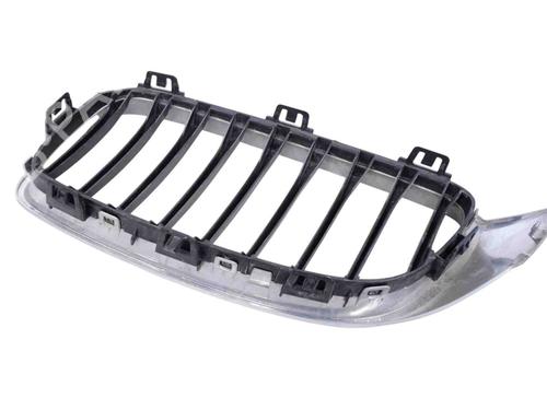 Grille FORD USA MUSTANG Coupe 5.0 302 | BP30256419C40 