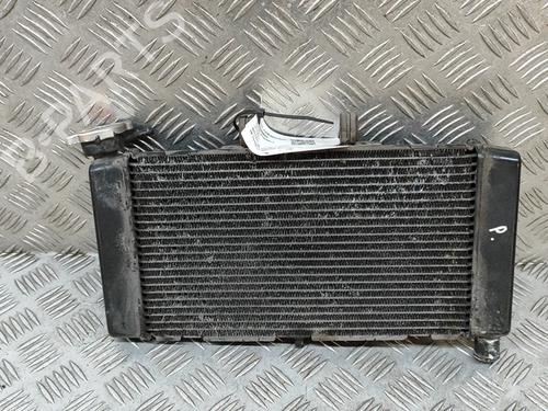 Used Water radiator HONDA MOTORCYCLES NC INTEGRA NC 700 D Integra (RC62) (48 hp) 28562593
