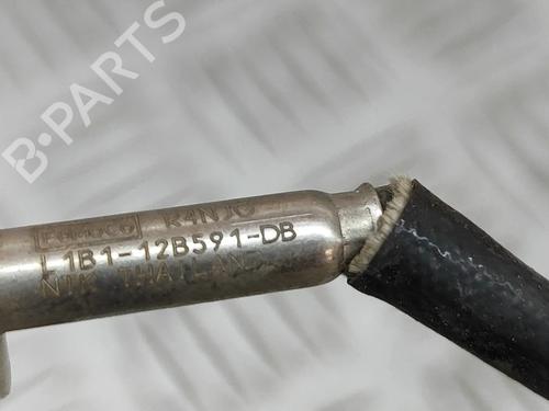 Electronic sensor FORD FIESTA VII (HJ, HF) 1.0 EcoBoost | BP24976081M84