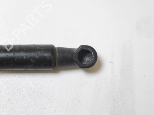 Tailgate lift support LEXUS GS (_S19_) 300 (GRS190_, GRS190R) | BP30255791C138