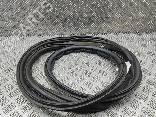 Gummiliste JAGUAR XJ (X350, X358) D 2.7 (207 hp) 31021293