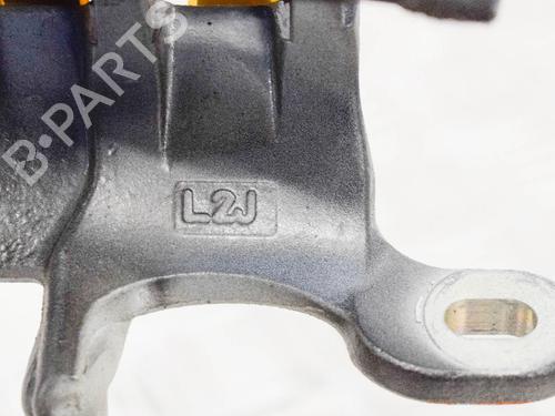 Hinge/Door check strap BMW 5 Touring (F11) 530 d xDrive | BP14663954C146 