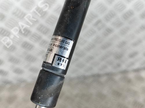 Hood lift support TOYOTA LAND CRUISER PRADO (_J12_) 3.0 D-4D (KDJ120, KDJ125) | BP23865551C139 