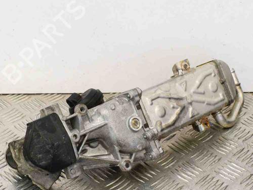 Egr VW PASSAT B7 Variant (365) 1.6 TDI | BP6738859M69