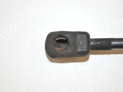 Hood lift support VW PASSAT B6 (3C2) 2.0 TDI 16V | BP30249362C139 