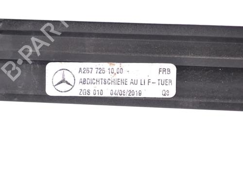 Door moulding trim MERCEDES-BENZ CLS (C257) AMG CLS 53 EQ Boost 4-Matic+ (257.361) | BP30219800C150 