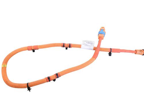 Ledningsnet POLESTAR POLESTAR 2 (534) EV | BP30253031E16