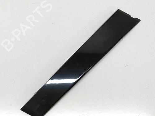 Door moulding trim LEXUS NX (_Z1_) 300h AWD (AYZ15, AYZ15_, AYZ15R) | BP28028872C150 