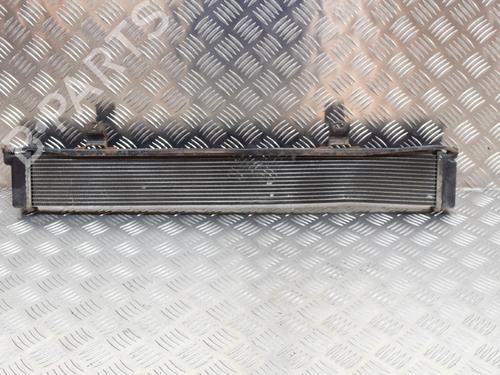 Water radiator LEXUS RX (_L1_) 450h AWD (GYL15_) | BP29128299M31 