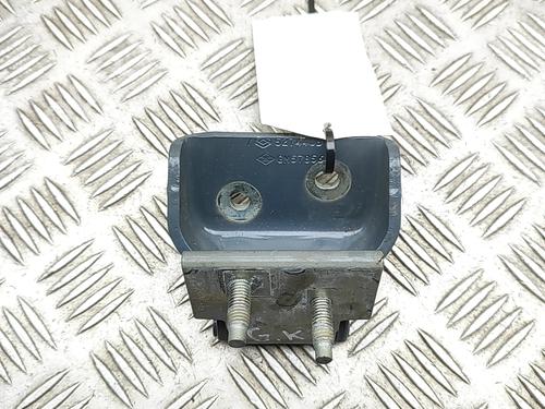 hingedoor-check-strap-renault-trafic-iii-bus-jg_-2014-32860786 main image