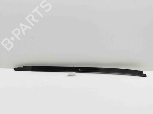Door moulding trim BMW X3 (G01, F97, G08) xDrive M40 i | BP29487645C150 