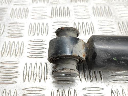 Left rear shock absorber JAGUAR F-PACE (X761) 2.0 TD4 | BP29829728M18