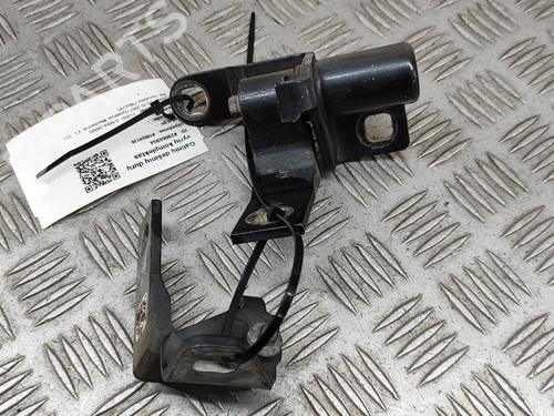 Hinge/Door check strap FORD S-MAX (WA6) 2.0 TDCi | BP24581946C146 