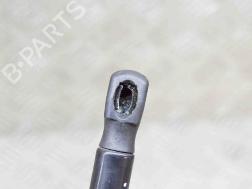 Hood lift support BMW 6 Coupe (F13) 640 d | BP14647149C139