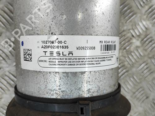 Andre TESLA MODEL X (5YJX) P100D AWD | BP24582670O1