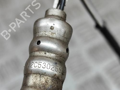 Other APRILIA MOTORCYCLES TUONO Tuono R (RR) | BP28555987O1 