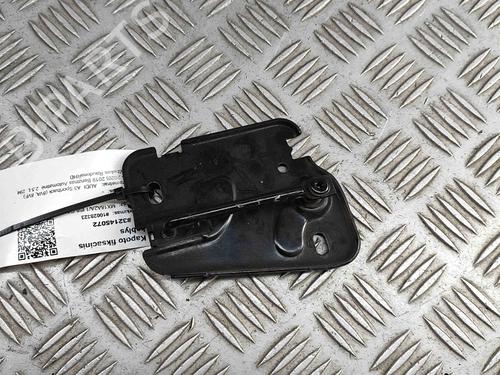 Exterior handle AUDI A3 Sportback (8VA, 8VF) RS3 quattro | BP29404098C122 
