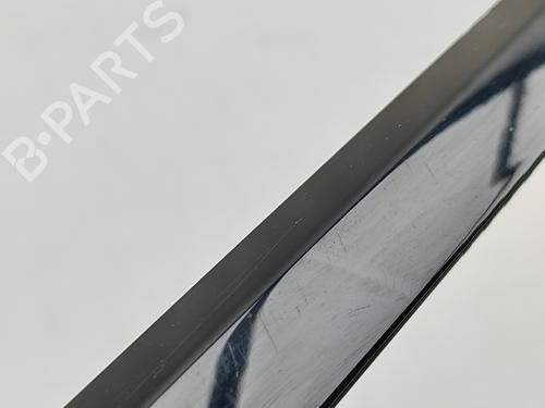 Door moulding trim LAND ROVER RANGE ROVER SPORT II (L494) 4.4 SDV8 4x4 | BP29830119C150 