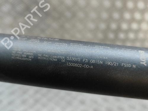 Tailgate lift support TESLA MODEL Y (5YJY) EV Performance All-wheel Drive | BP31314682C138 