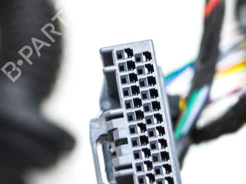 Wiring harness TESLA MODEL S (5YJS) P100D AWD | BP14628476E16 