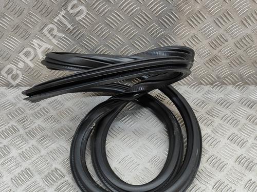 Rubber door seal AUDI Q5 (FYB, FYG) 2.0 TFSI quattro | BP16140530C142