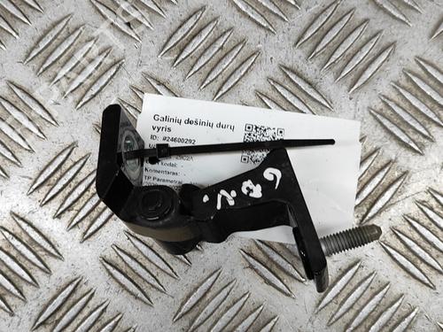 Used Hinge/Door check strap AUDI A3 Sportback (8YA, 8YF) RS3 TFSI quattro (407 hp) 27771582