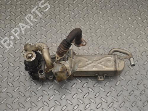 Egr VW PASSAT B7 (362) 1.6 TDI (105 hp) 30244150