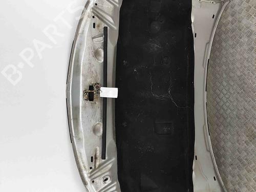 Hood DODGE CHARGER 2.7 | BP29730658C1 